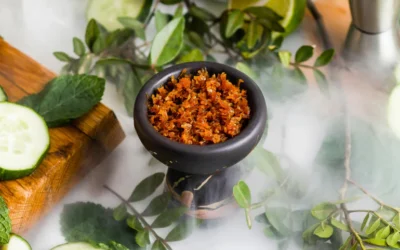 Best Shisha Tobacco Flavours in the USA